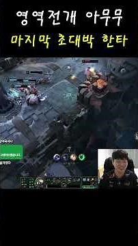 영역전개 아무무