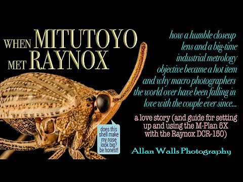 When Mitutoyo Met Raynox - How to set up a Mitutoyo 5X objective with a Raynox tube lens (+more)