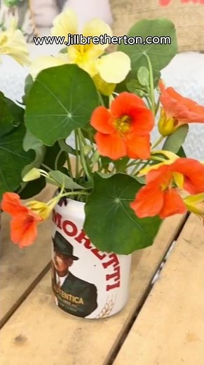Great reasons to grow nasturtiums in ANY garden #gardening