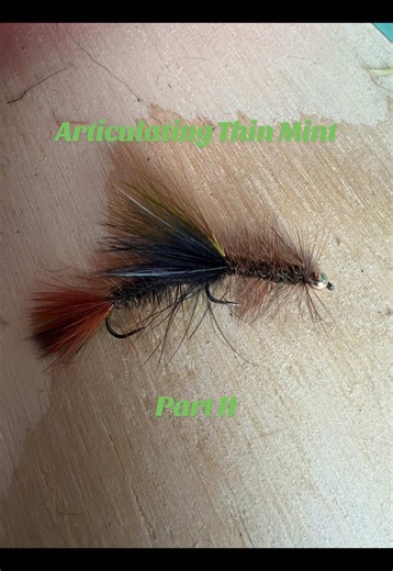 Part II tying the articulating thin mint streamer. Materials list in part I. #flyfishing #fyp #streamerfishing #flytying #flytyingvideo