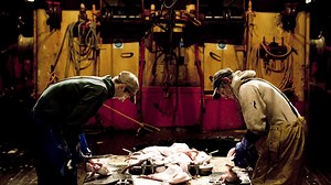 Trawler Wars - Discovery UK