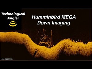 MEGA Down Imaging | The Technological Angler