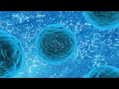 Epigenetic mechanisms of T cell exhaustion in cancer