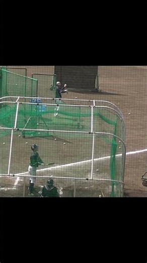 増田珠がフリーバッティング ネット裏から（ヤクルトスワローズ浦添キャンプ 2025年2月19日） #野球