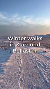 6.9K views · 85 reactions | Make sure to add these winter walks in & around Belfast to your list ❄️✨ Whether it's frosty mornings or golden sunsets, there’s nothing like a winter stroll to clear your mind and get those steps in! Where’s your favourite spot for a winter walk?  Divis & The Black Mountain ‍了 Montalto Estate  The Argory ️ Cave Hill Country Park  Sir Thomas & Lady Dixon Park #VisitBelfast | #BelfastPlus | Visit Belfast | Facebook
