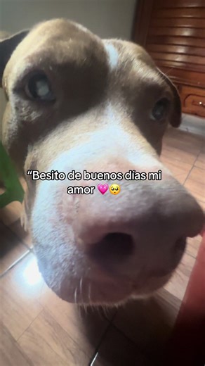 #buenosdiasmiamor#fypシ゚viral #besitoamor#fup#parati