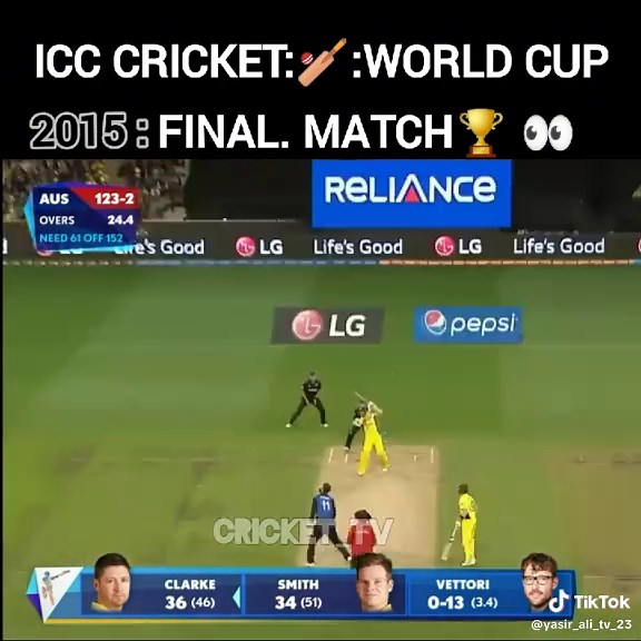 2015 ICC Cricket World Cup Final Highlights