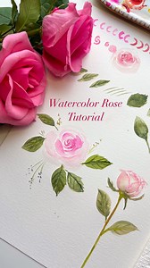 February is for roses so here you go!🌹❣️ check out my YT channel for the full 15 minute version of this tutorial! 💘 🎨Check out my favorite art supplies linked in my profile #watercolortutorial #watercolorflowers #arttherapy #watercolorart | februaryrosedesigns