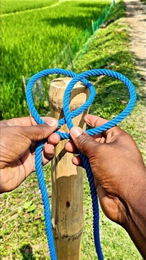 The Ultimate One Rope Knot for Maximum Security