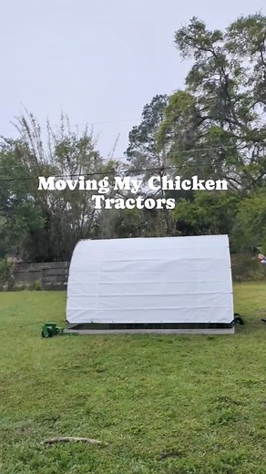 How long does it ACTUALLY take to lift the chicken tractor and move it to fresh grass? Let's find out 😉 The first chicken tractor, our meat birds coop, took me 40 seconds to move. The second tractor for our egg layers took me 43 seconds. So quick for both! 👏🏻 Using a wheel system that is always attached to the tractor makes it so much quicker you only need to move your tractors one place forward. THIS is why I love having a moveable coop. No cleaning of the "floor" required. Chickens poop soo