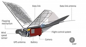 Comment la Chine espionne avec des drones pigeons
