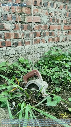 Werkzeugbergung! Seil- und Schraubenschlüssel-Hebetechnik