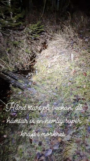 Robert Edlund on Reels