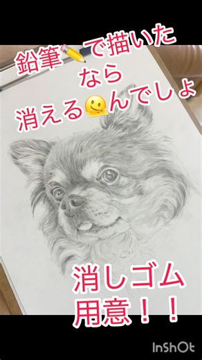 鉛筆で描いたなら消しゴムで消えるっしょ