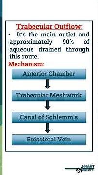 Aqueous Humour Drainage #aqueoushumour #optometry #optometrist #optometrystudents