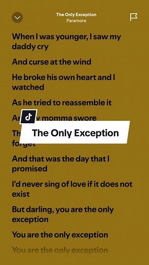 Music Lyrics on TikTok