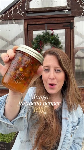 🥭 Mango Jalapeño pepper jelly🌶️ 3oz dried mango diced 1 1/2 cups white vinegar 5% acidity 6 cups sugar 2/3 cup finely chopped jalapeño peppers 1/2 cup chopped bell pepper 1/2 cup white onion 1 3oz pouch liquid pectin Water bath processing time ➡️ 10 minutes Makes 6 half-pint jars
