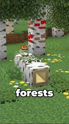BETTER SPRING in Minecraft!