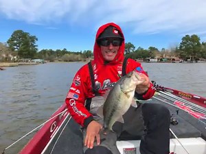 18K views · 600 reactions | The MLF pros found some beautiful bass on Lake Conroe today. Click through the full gallery: https://majorleaguefishing.com/bass-pro-tour/gallery-conroe-bass-of-shotgun-round-1/ | Major League Fishing | Facebook