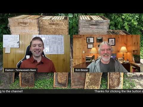 📢Questions & Answers with Bob Binnie🔥