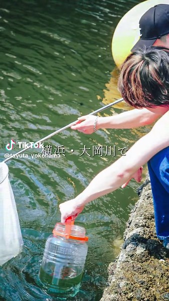 横浜のクラゲ展示で地域課題を癒しに