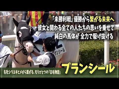 【ブランシール】未勝利戦の優勝から繋がる「その先の未来」へ。勝利を追い求める純白の競走馬【マーブルケーキ/ブチコ/シロニイ】