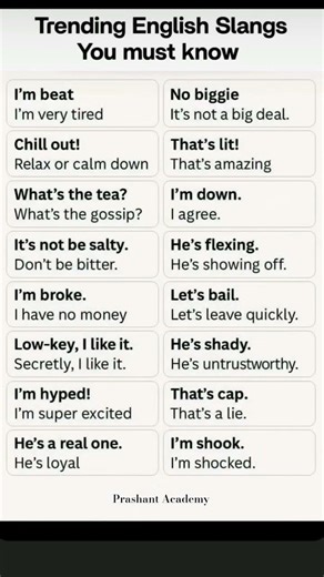 daily use English sentences|| english slang
