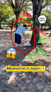Take your trash home with you💢 Let's do our best to raise awareness and keep Japan clean🇯🇵❣️ this video collected from Japan Shorts ❣️ #japancapture #japanreels #ExploreJapan #japantravel #japanlife #japanlife | Japan Capture