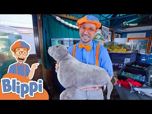 Blippi Learns About Sea Creatures! | Learn About Animals For Kids | Educational Videos For Toddlers