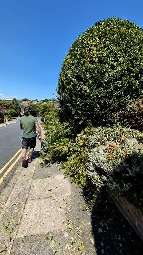 300K views · 3.7K reactions | Keeping those walkways clear #gardener #gardening #garden #landscaping #EgoPowerPlus #egopowerpluseu | Gary Hall Garden Services | Facebook