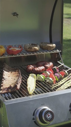 BBQ GRILL |Parrilla gas portátil GRILL TO GO - 2 Quemadores