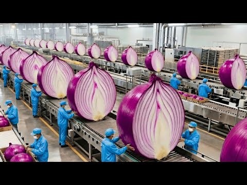Inside the Largest US Factory: From Raw Onions to Premium Powder (Full Process)