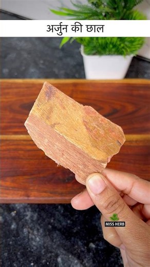 अर्जुन छाल: आयुर्वेद की एक अदभुद औषधि | Nt. Rajmani