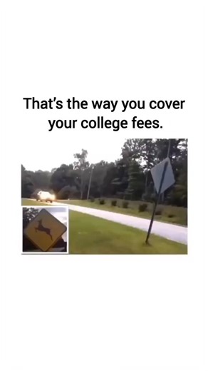 Lucky Culture on Instagram: "“How I’m going to pay my college tuition” 😭 In the U.S., the average annual cost of college tuition and fees is: • ~$10,000 per year for in-state public universities • ~$27,000+ for out-of-state public • ~$38,000+ for private colleges And that’s just tuition — not housing, books, food, or “I deserve this” late-night DoorDash. Meanwhile, over 40 million Americans carry student loan debt, totaling more than $1.7 trillion nationally. So yeah… seeing a deer cross