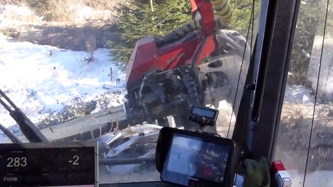 High-Powered Komatsu Equipment for Forest Thinning and Tree Felling