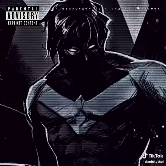 Incredible Robin's Nightwing & Red Hood Edit