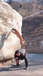 8.3K views · 59 reactions | No tricks, just tactics. : klevenak9 on IG | TacticalGear.com | Facebook