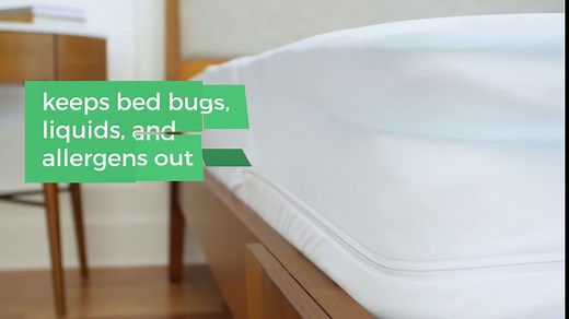 Linenspa Zippered Mattress Encasement – Twin XL Size Waterproof Mattress Protector – Quiet Cover & Complete protection – Dorm Room Essentials, White