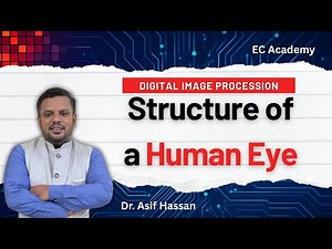 Structure of the Human Eye Explained | Visual Perception Fundamentals for DIP
