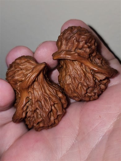 Day 74 of polishing my birdy wenwan walnuts 🌰✨ I feel like my work days are getting longer. This account gives me an excuse to take some time to do mindfulness and grounding techniques. #wenwan #walnuts #wenwanwalnuts #handpolished #progression