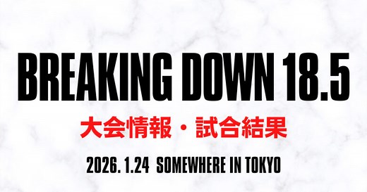【ブレイキングダウン18.5】試合結果速報、対戦カード、視聴方法