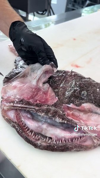 Delicious Monkfish Cheeks: A Fishmonger's Delight