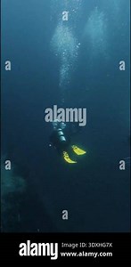 Vertical Video: Scuba Divers Exploring the Historic USCG Duane Shipwreck in Key Largo, Florida