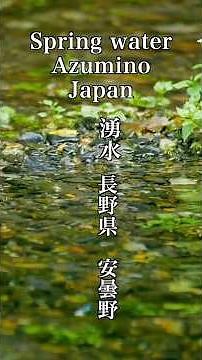 湧水 安曇野 Azumino Spring Water 長野県安曇野 わさび田湧水群 安曇野観光 安曇野旅行 名水百選 水の郷#安曇野#healingmusic#relax