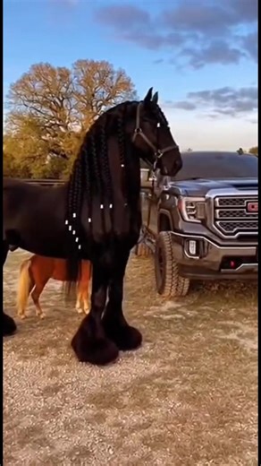 Exploring the Connection Between USA, Guatemala, and Mexico