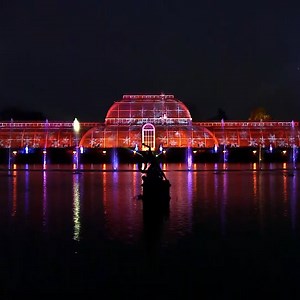 750K views · 6.5K reactions | Kew Garden's Christmas trail has over 1 million lights — here's what it is like. | Insider International | Facebook