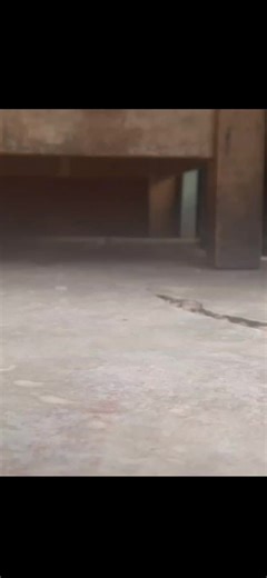 Videos de 🗣️🔥🔥🔥🔥 (@cheems_samurai_1945) con “sonido original - 🗣️🔥🔥🔥🔥”