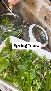 A nice Spring tonic to refresh the body systems after winter might include: Birch leaves – Betula pendula Cleavers - Galium aparine Dandelion - Taraxacum off. Ground Ivy - Glechoma hederacea Nettle - Urtica dioica Plantain - Plantago lanceolata Red dead-nettle, scientifically known as Lamium purpureum Wood avens - Geum urbanum These can be blended into smoothies or in the case of nettle and plantain they are great added to soups and wild garlic pesto. If you aren’t able to collect fresh herbs of
