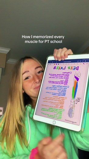 I literally did this for every muscle & that’s how I passed PT school 😀 #muscles #muscleanatomy #anatomy #studytok #ipad #ipadnotes #ptschool #ptstudent #physicaltherapy #physicaltherapyschool #finals