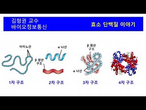 바이오나노머신으로 작용하는 효소단백질